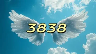 3838 Angel Number