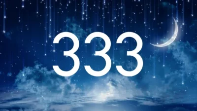 333 Angel Number Love