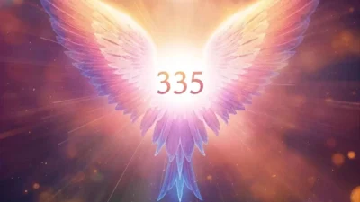 3535 Angel Number