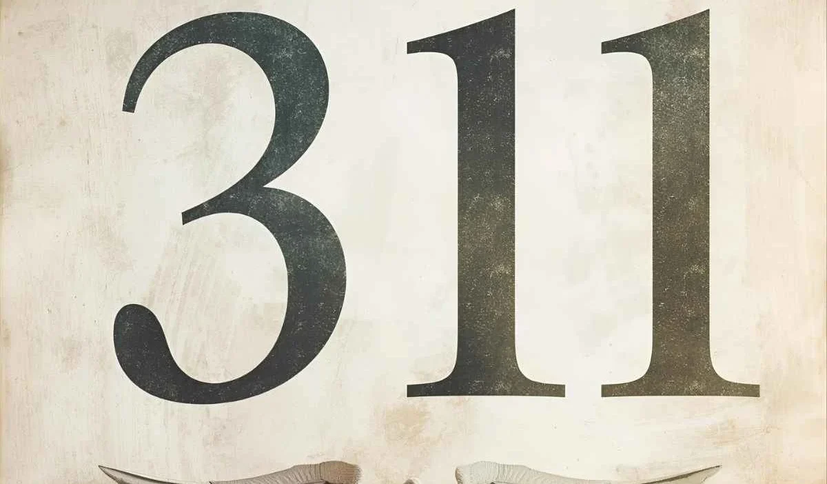 Angel Number 311
